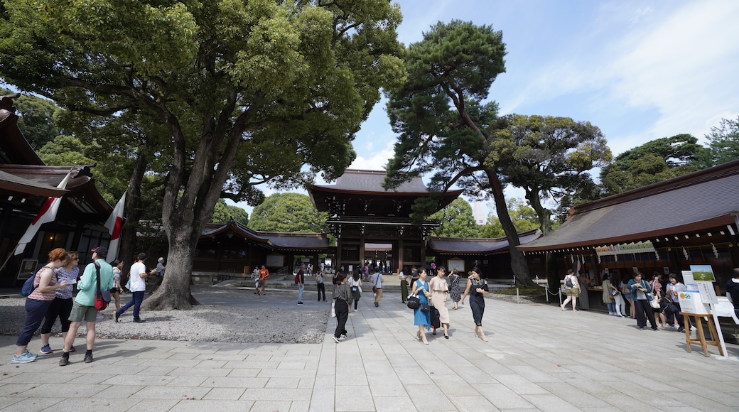 Meiji Jingu Shrine, Tokyo, Tokyo Prefecture, Japan