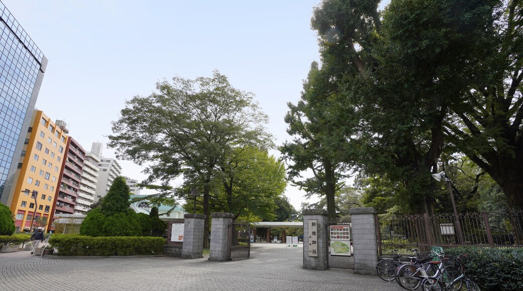 สวนสาธารณะชินจูกุ เกียวเอ็น, โตเกียว, โตเกียว (จังหวัด), ญี่ปุ่น