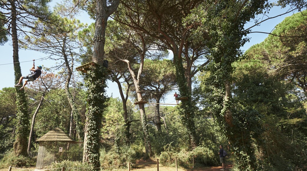 CerviAvventura Kalandpark, Cervia, Emilia-Romagna, Olaszország