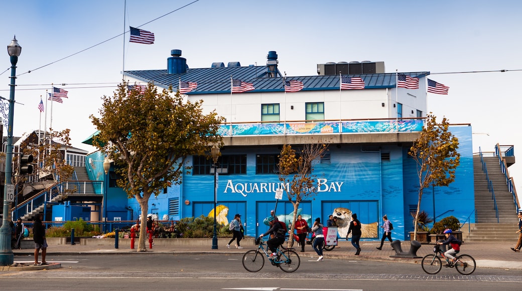 Aquarium of the Bay, San Francisco, Kalifornien, USA