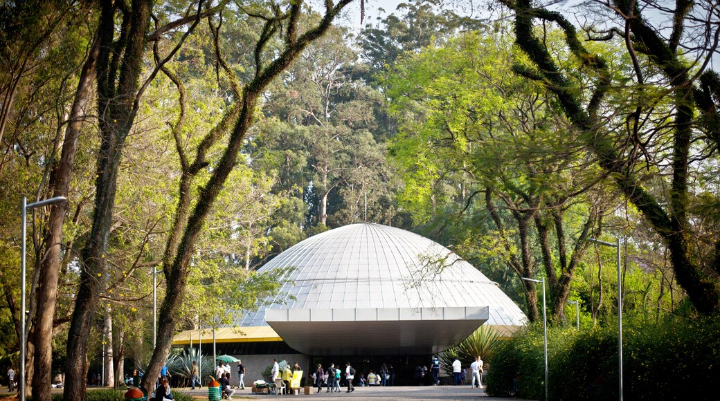 Taman Ibirapuera, Sao Paulo, Sao Paulo (negeri), Brazil
