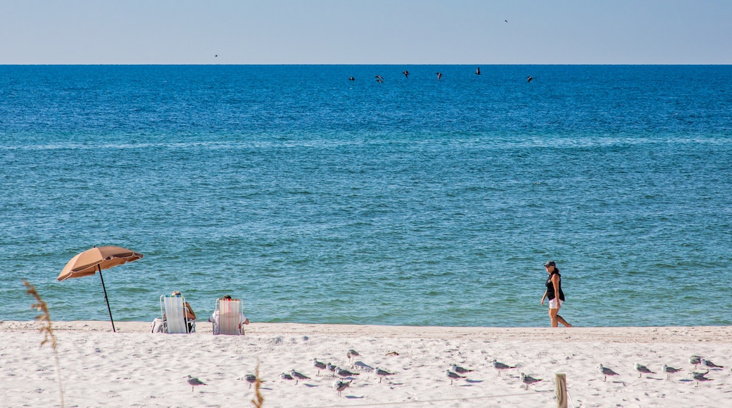 Johnson Beach, Pensacola, Florida, USA