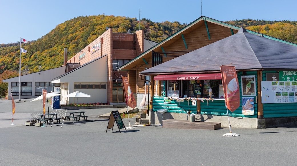 Kusatsu International Ski Place, Kusatsu, Gunma Prefecture, Japan