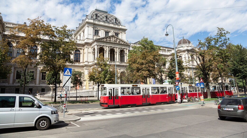 Universität Wien, Wien, Österreich