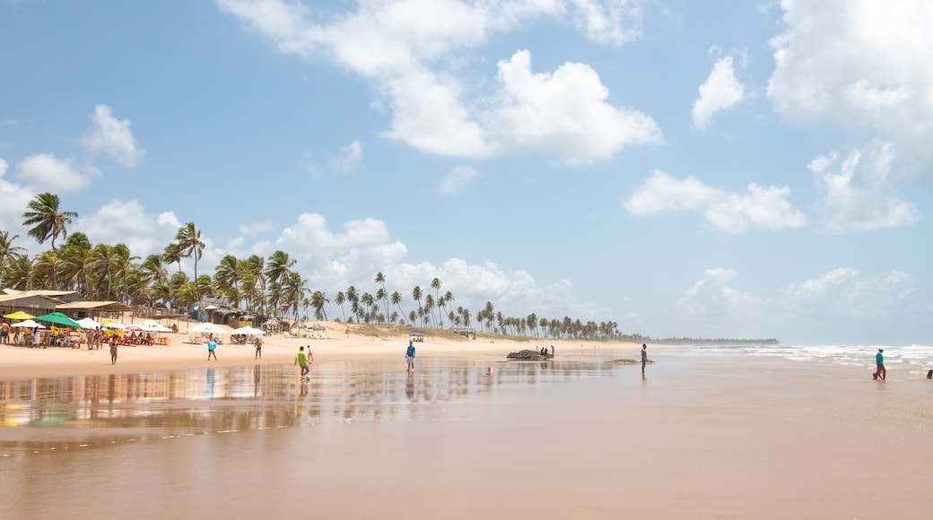 Praia de Santo Antônio, Brasilien, Mata de São João Bahia, Bundesstaat Bahia, Brasilien