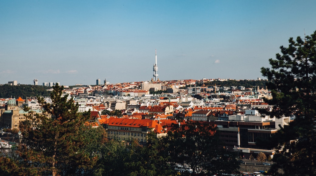 Žižkov, Prag, Tschechien