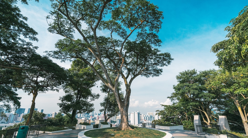 Parque de Mount Faber, Singapura, Singapura