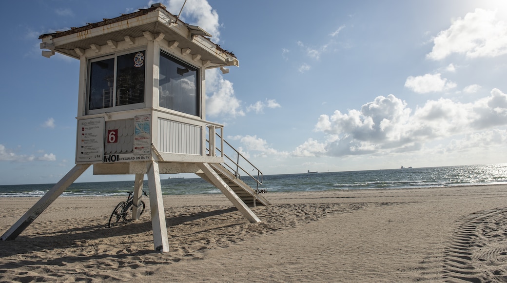 Las Olas Beach, Fort Lauderdale, Florida, United States of America
