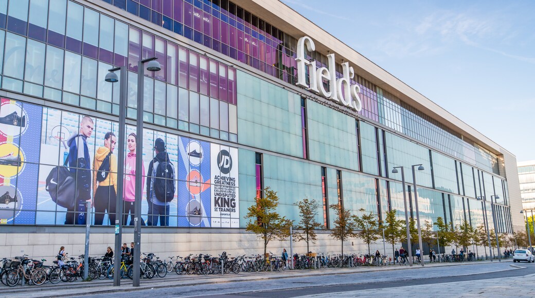 Field'sin ostoskeskus, Kööpenhamina, Pääkaupunkialue, Tanska
