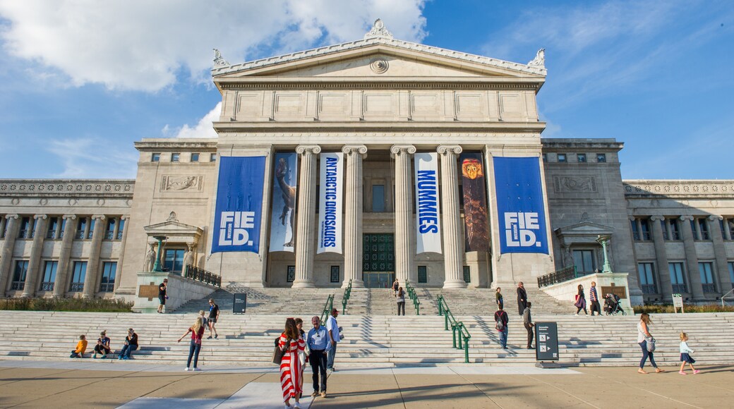Field Museum of Natural History, Chicago, Illinois, United States of America