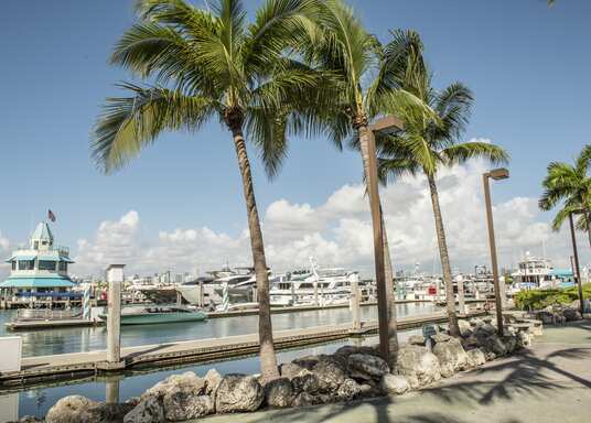 Miami Beach, Florida, USA