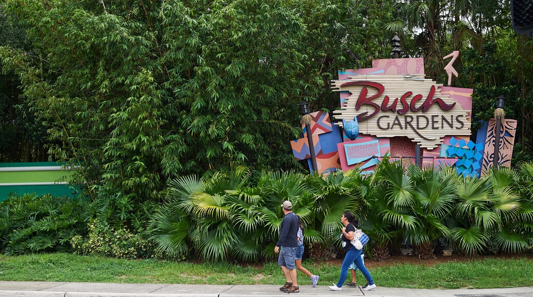 Công viên Giải trí Busch Gardens Tampa Bay, Tampa, Florida, Mỹ