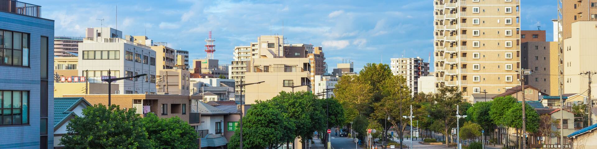 ๋ง์ฟ ํ๋ฆฌ, ์ง๋ฐ, ์ง๋ฐ(ํ), ์ผ๋ณธ