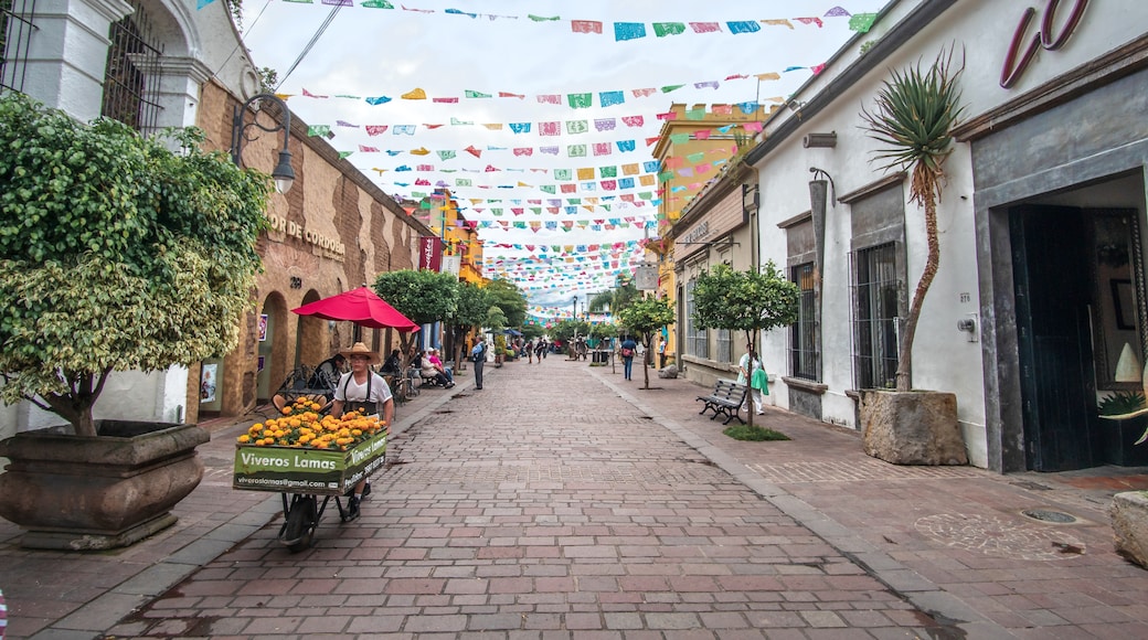 Tlaquepaque, Jalisco, Mexico