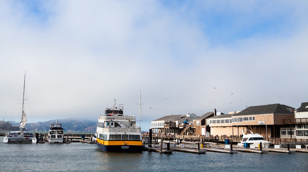 Pier 39, San Francisco, Kalifornien, USA