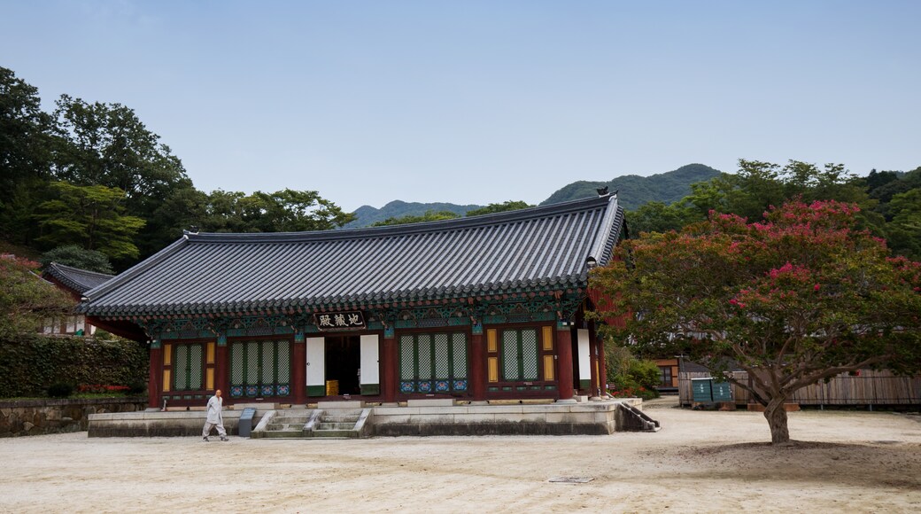 Kuil Songgwangsa, Suncheon, Jeolla Selatan, Korea Selatan