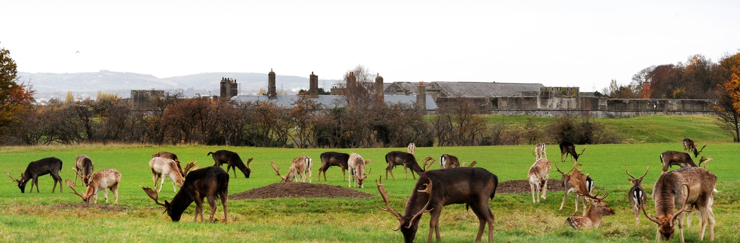 Dublin, Ireland