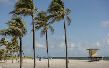 Top Hotels in Hollywood, FL - Cancel FREE on most hotels 