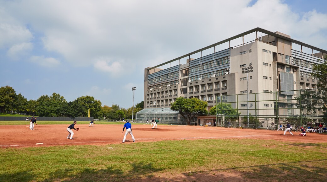 國立交通大學, 新竹, 台灣