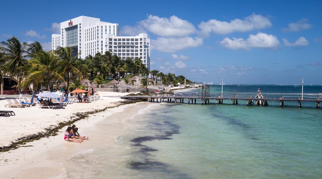 Tortuga-stranden, Cancun, Quintana Roo, Mexico