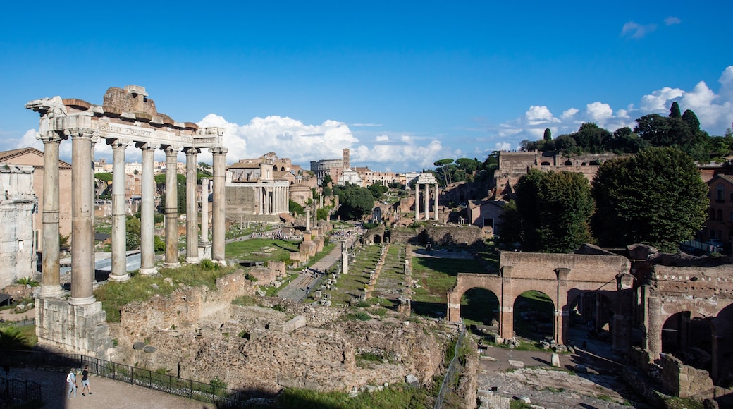 Det romerske forum, Rom, Lazio, Italien