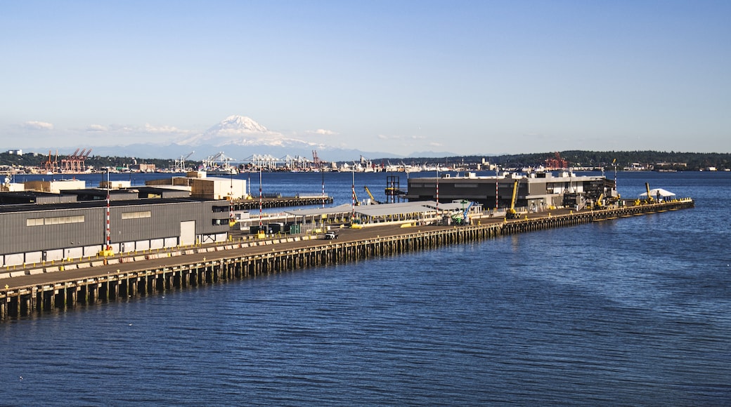 Seattle Cruise Ship Terminal 91, Seattle, Washington, United States of America