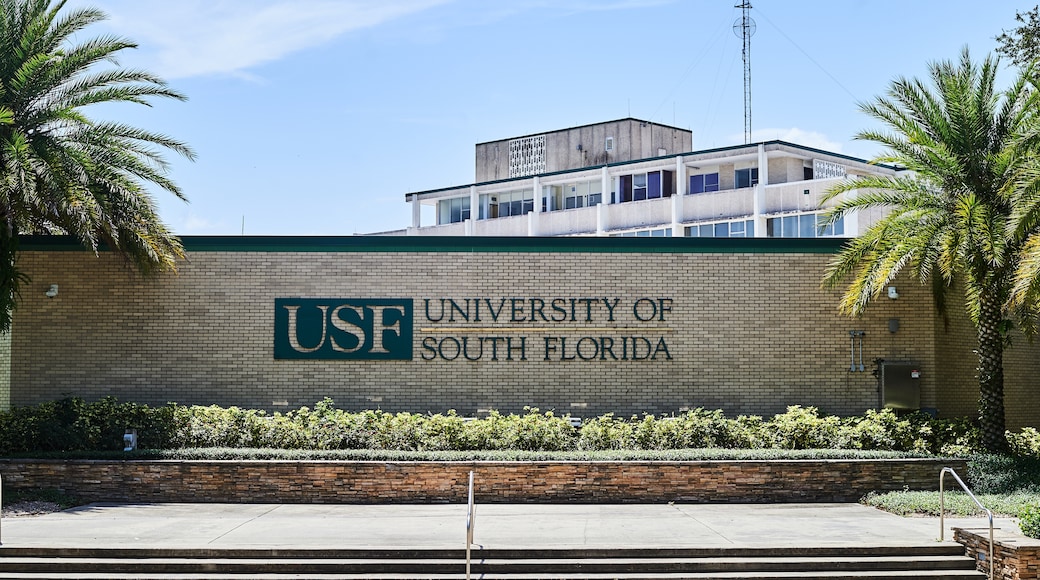 University of South Florida, Tampa, Florida, USA