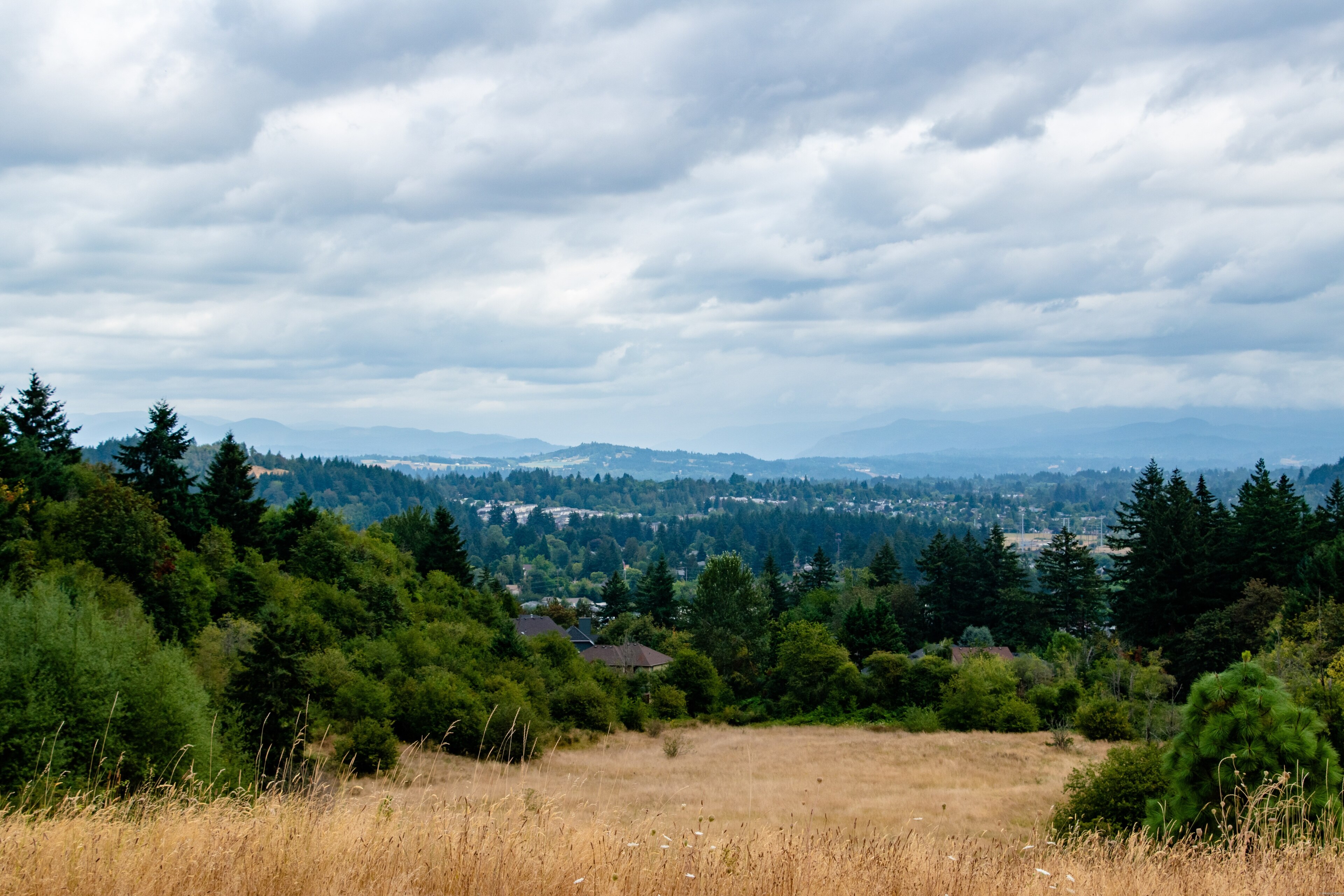 Powell Butte