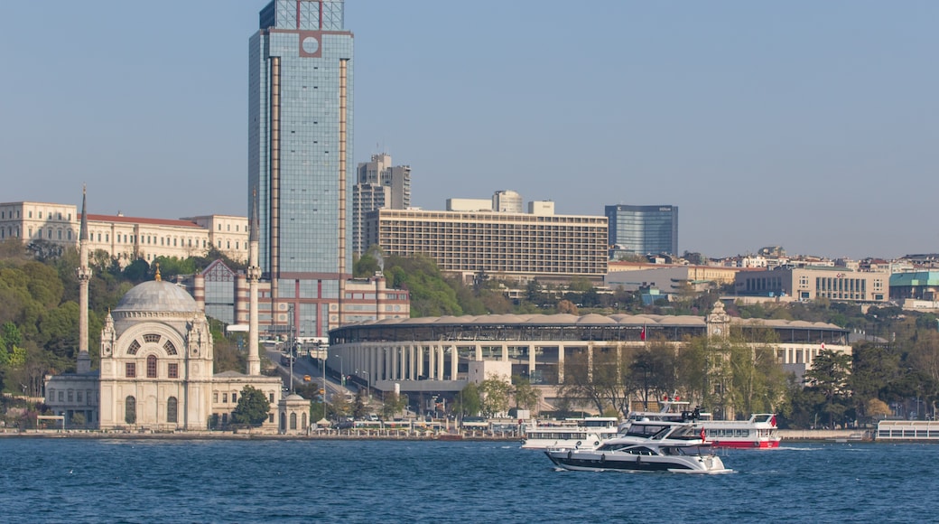 Vodafone Park