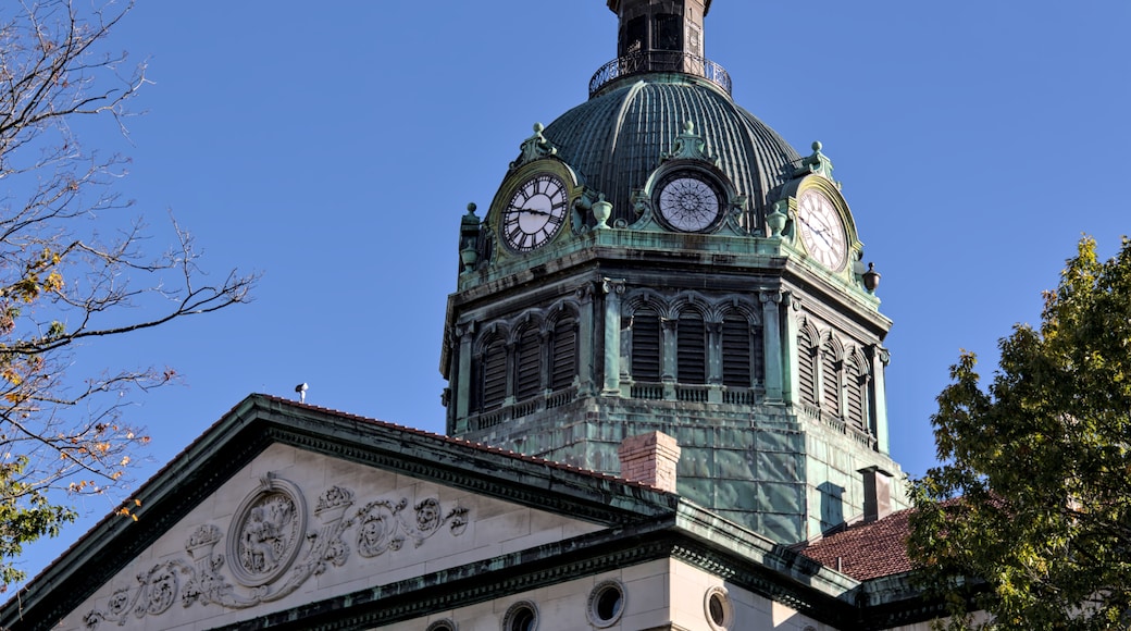 Binghamton