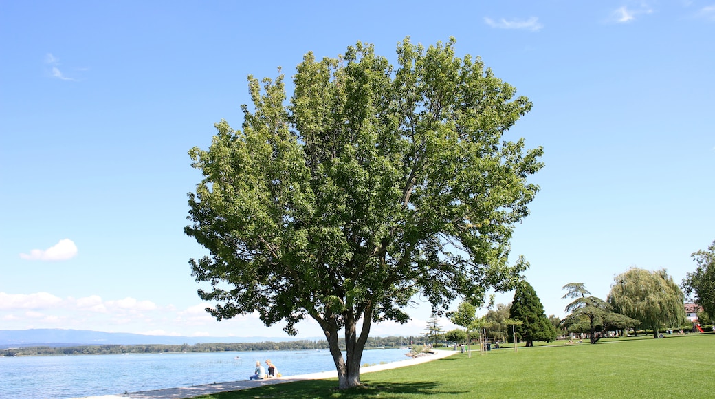 Lake Murten