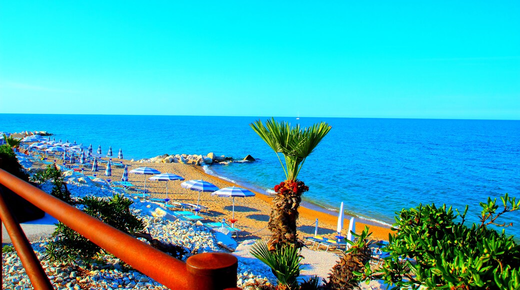 ポルト レカナーティ