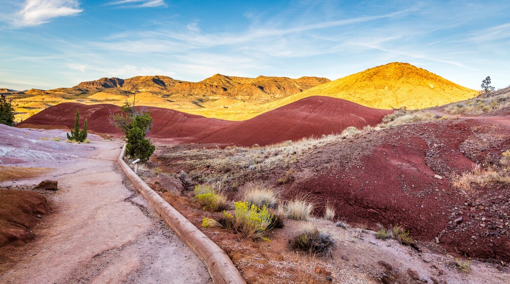 John Day Fossil Beds National Monument