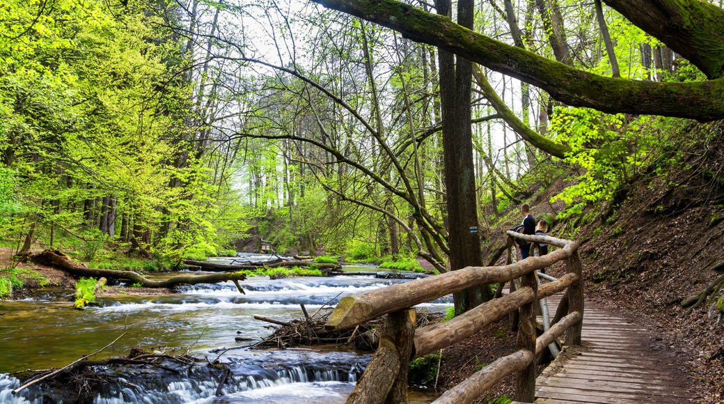 Roztoczanski National Park