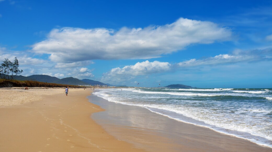 Campeche Island