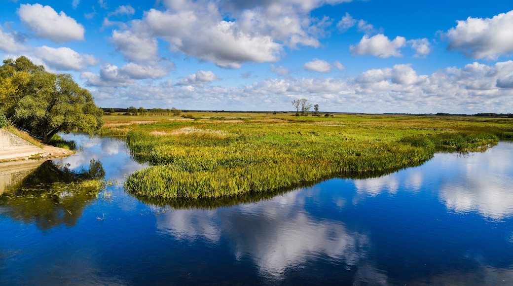 Nationalpark Biebrza-Flusstal