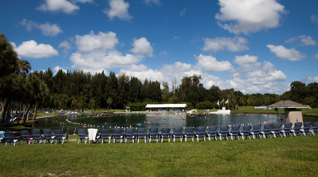 Warm Mineral Springs