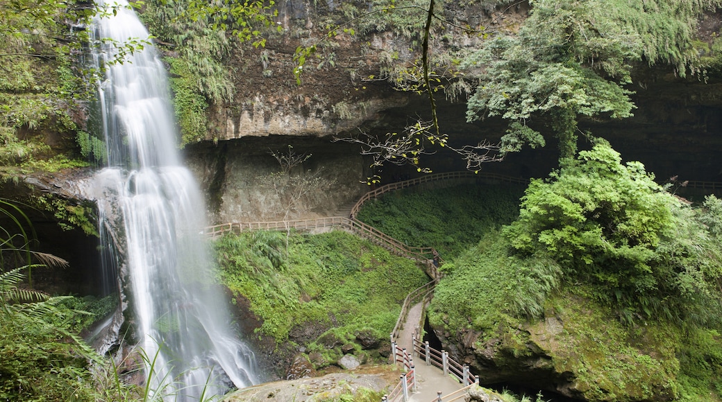 Shanlinxi Forest Recreation Area