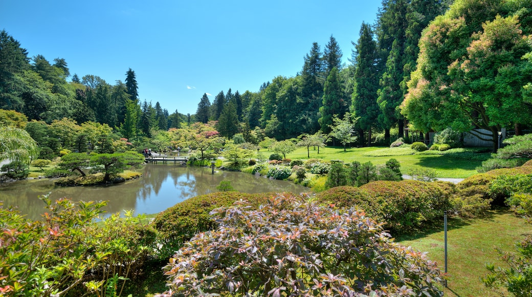 Arboretum Taman Washington