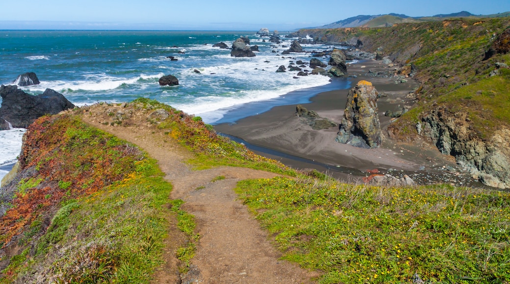 Jenner Beach