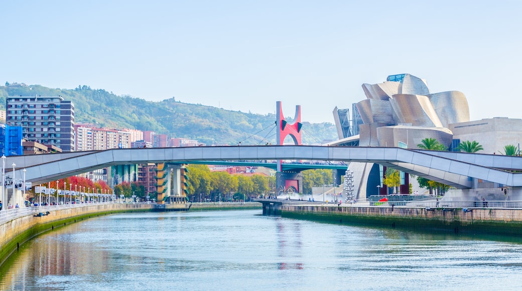 Guggenheim-museet i Bilbao, Bilbao, Baskerland, Spania
