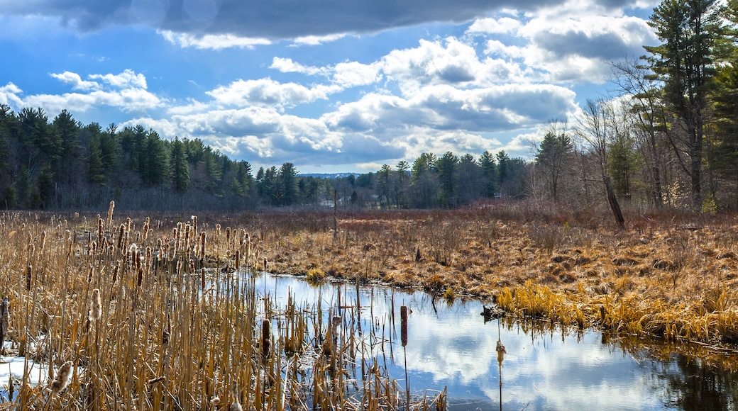 Blue Mountain Lake