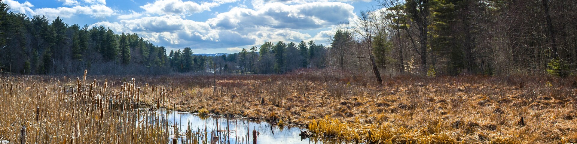 阿第倫達克區, 紐約, 美國