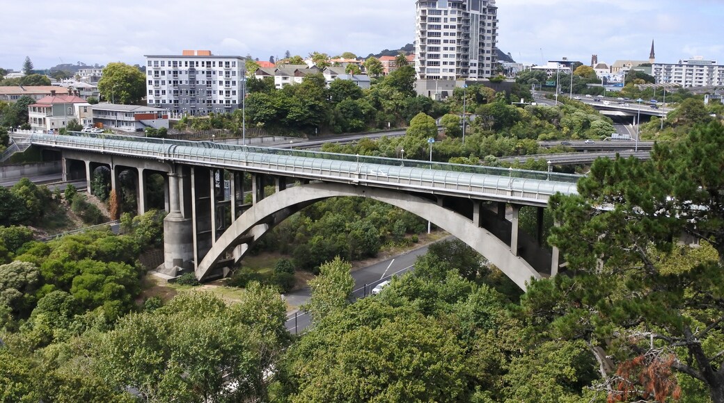 Grafton Bridge