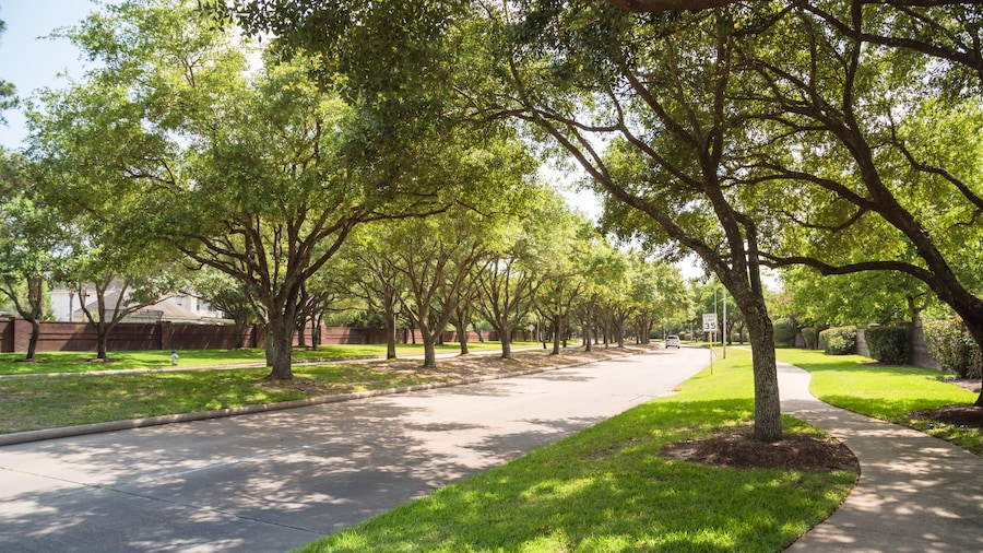 Katy Park (parc)
