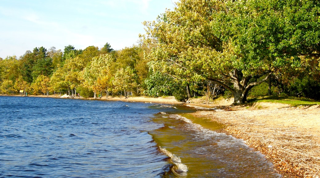 Värnamo