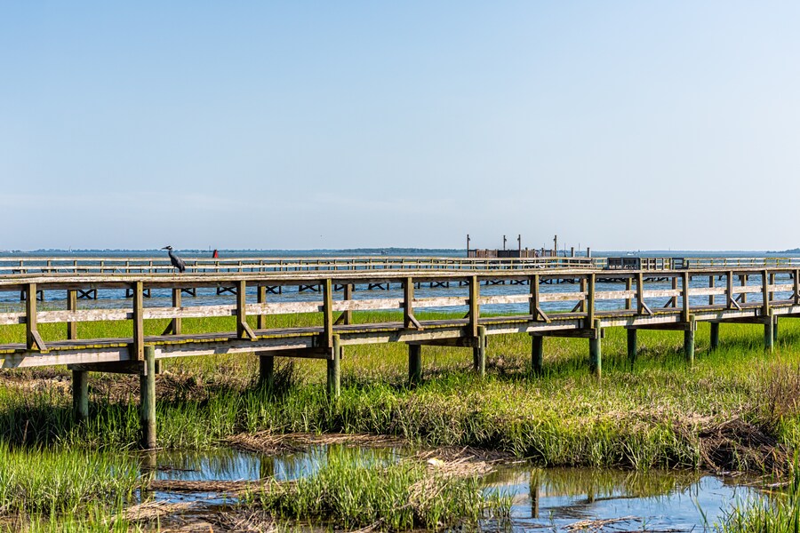Sweeping waterfront views of Charleston Harbor with sailboats.