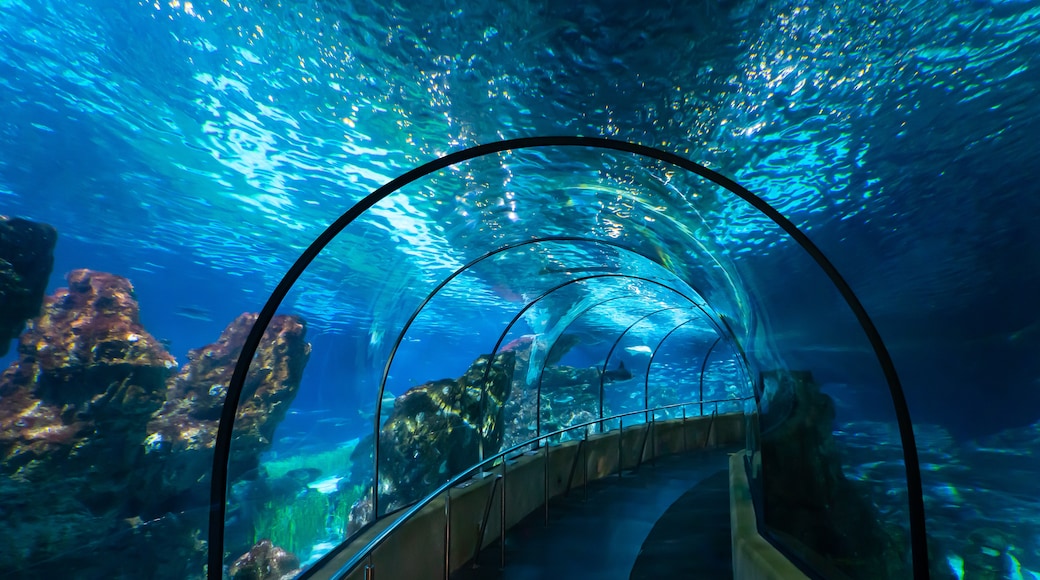 Aquarium van Barcelona