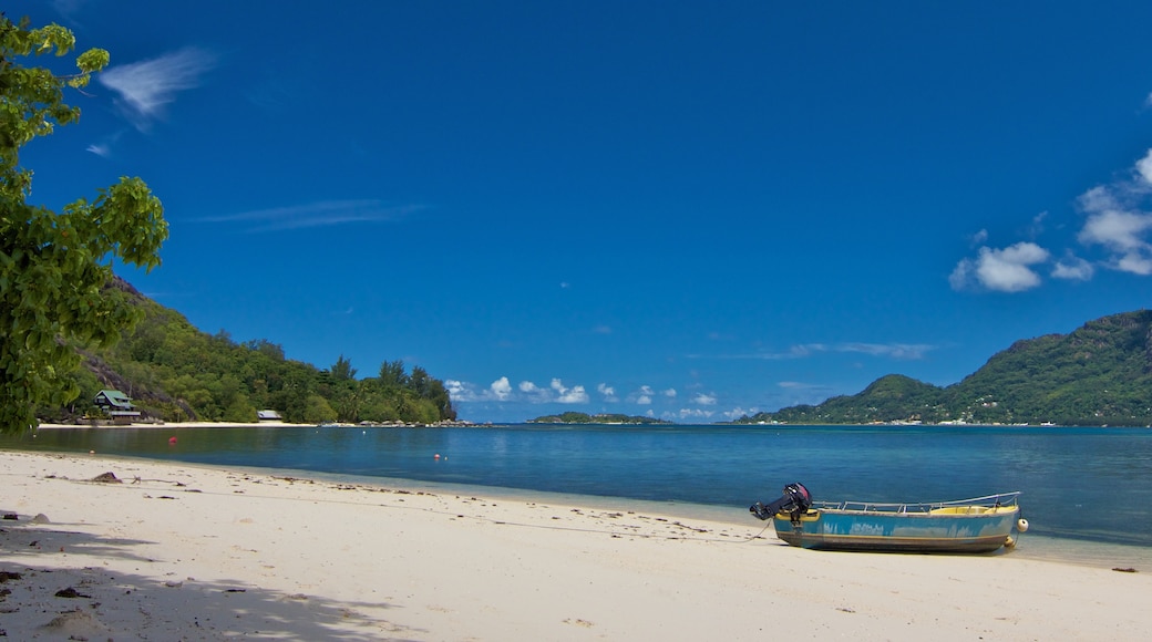 Île au Cerf