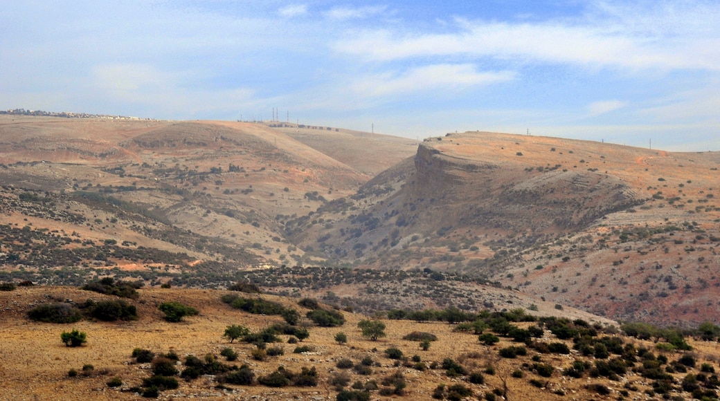 Ein Harod-Ihud